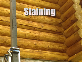  Warne, North Carolina Log Home Staining